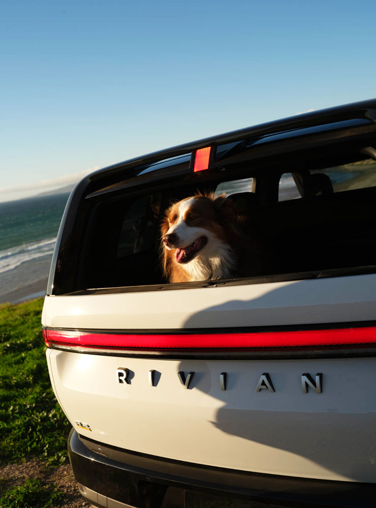 Rivian R2 with dog